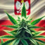 I love weed &lt;3