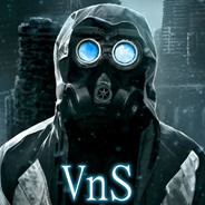 VnS