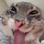 FREAKY CAT 😨 #nevercucked