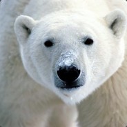 Polar Gam3z