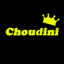 choudini8