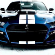 Z-D-H2（直购希尔传）