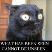 [n00b]SaVage|Lockdown - steam id 76561197963124909