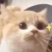 晚渊卦卦必中。