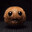 Niche kiwi