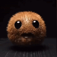 Niche kiwi