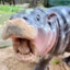 Thiccc Sliccc Lizard