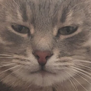 Norb