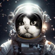 Space Pussy - steam id 76561197979936310