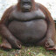 ChunkeeMonkee