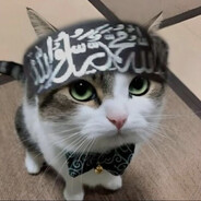 jesterr666