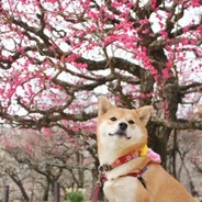 Кто такой Паверов