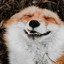 Gloomy_Fox