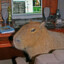 MrCapybara avatar