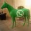 WhatsApp Horse