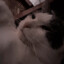 ✘ᶫᵒᵛᵉ