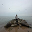 zob@