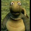 Turtle Sniffer