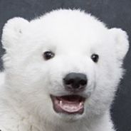 青子衿