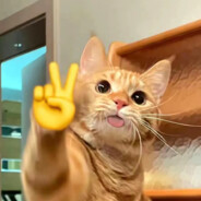 小豆班突击手帅子