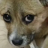 穆老师球上长毛了