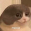 VileonM