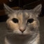 CatBurger