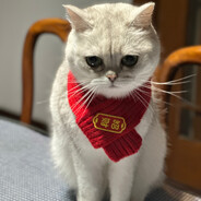 小小命脉认真玩派