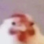 bep