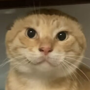 哈呀哈基米叮咚叮咚吉