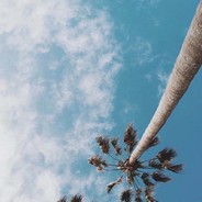 电脑玩家谭建冬