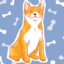 LuckyHachi