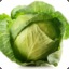 Cabbage Gunk