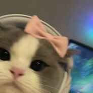Uujujuju avatar