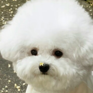 可爱又迷人的反派角色