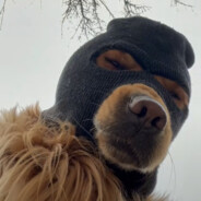 4i老婆把我当0疯狂厚乳