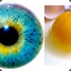 EYEYOLK