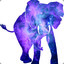 purplelephant1