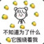 木宁子