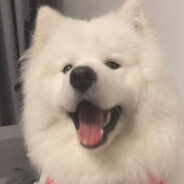 我也不想马枪啊，可是他会动哎