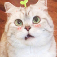 一打三未必有胜算  逃跑的功夫在下也是拿手！