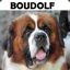 BOUDOLF