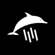 DolphinRain