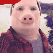 adidigma69 skins.army