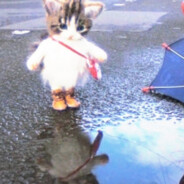 神秘的悲惨世界