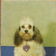 manic дикси dream girl