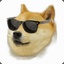 墨镜doge