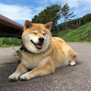 超级超级无敌无敌大大