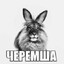 Пpeдвecтник шaлocти