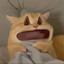 薛定谔雄猫飞飞弹